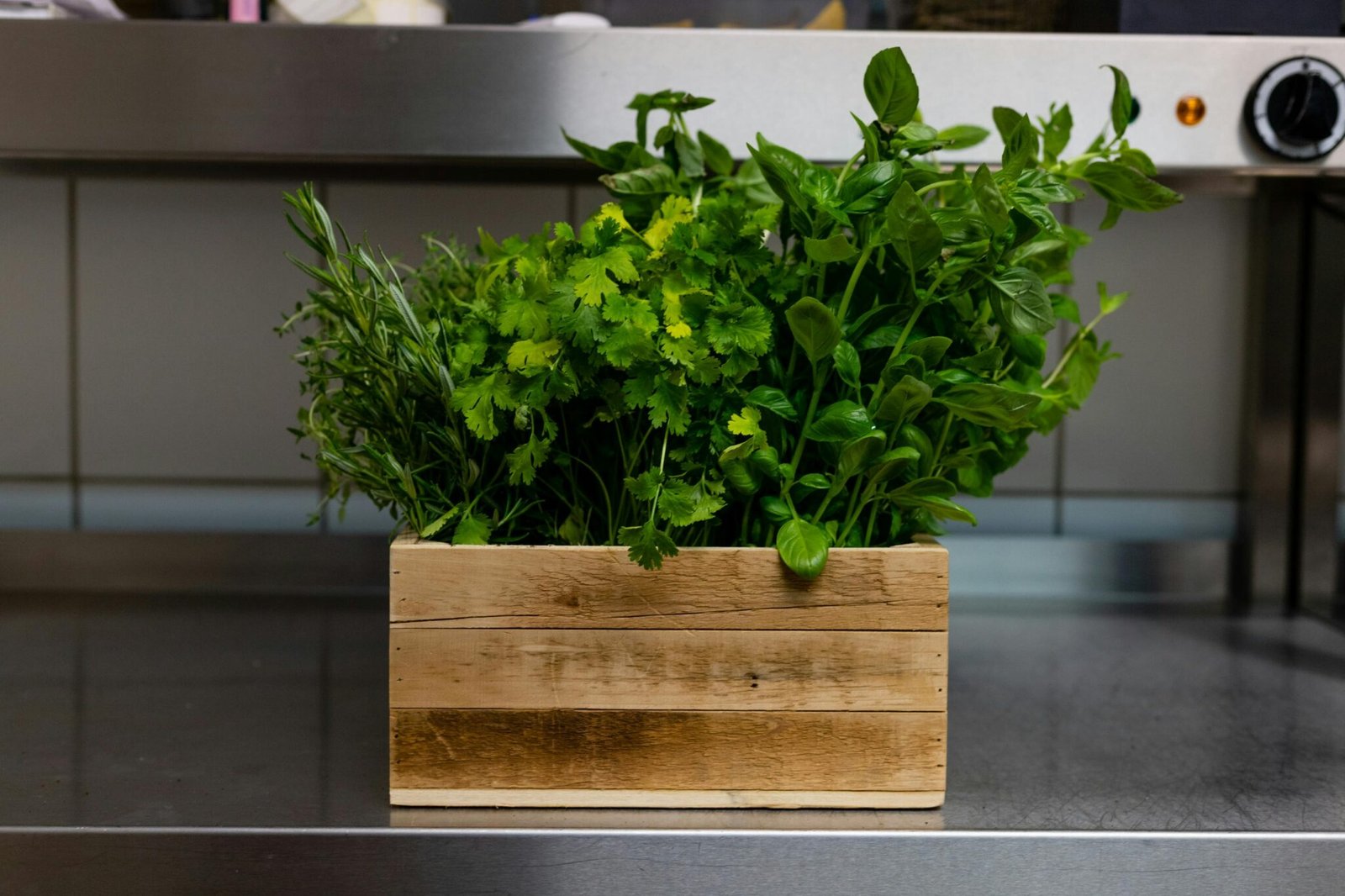 A variety of fresh green herbs in a wooden box on a kitchen countertop, perfect for culinary use.