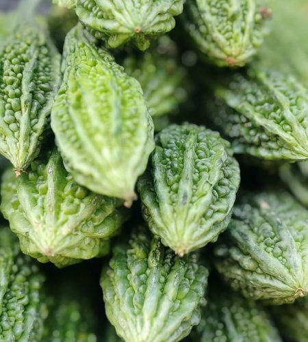 A detailed photograph showcasing fresh green bitter melon fruits in a stack.